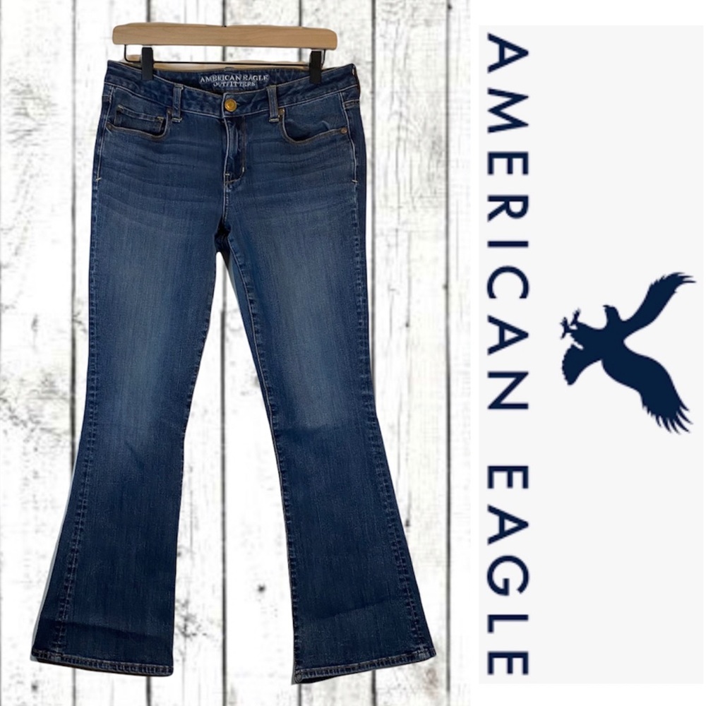 American Eagle Outfitter Women 10 Short Denim Jean